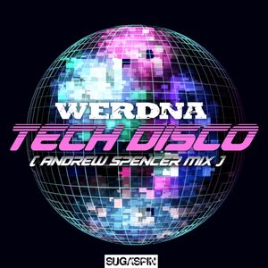 Cover von Werdna — Tech Disco (Andrew Spencer Mix)