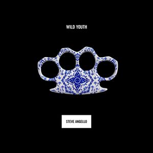 Capa de Steve Angello — Remember (feat. The Presets)