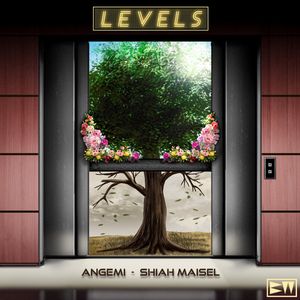 Cover for Angemi, Shiah Maisel — Levels