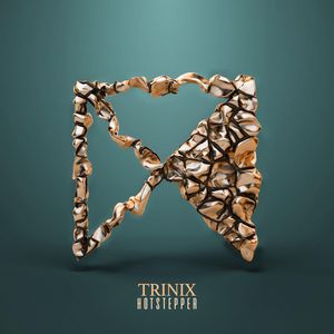 Cover von Trinix — Hotstepper