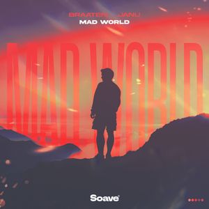 Обложка трека Braaten & Janu — Mad World