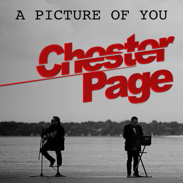 CHESTER PAGE - TWIST IN MY SOBRIETY